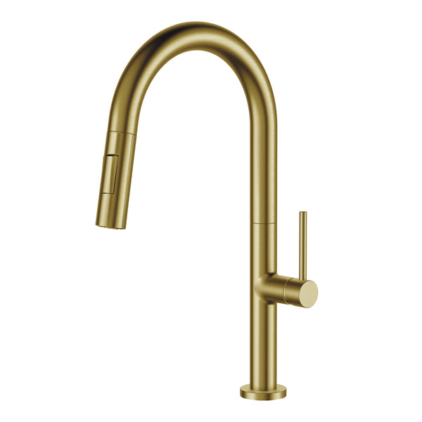 Brushed Brass (Gold) Pull Out Kitchen Faucet & Dual Spray