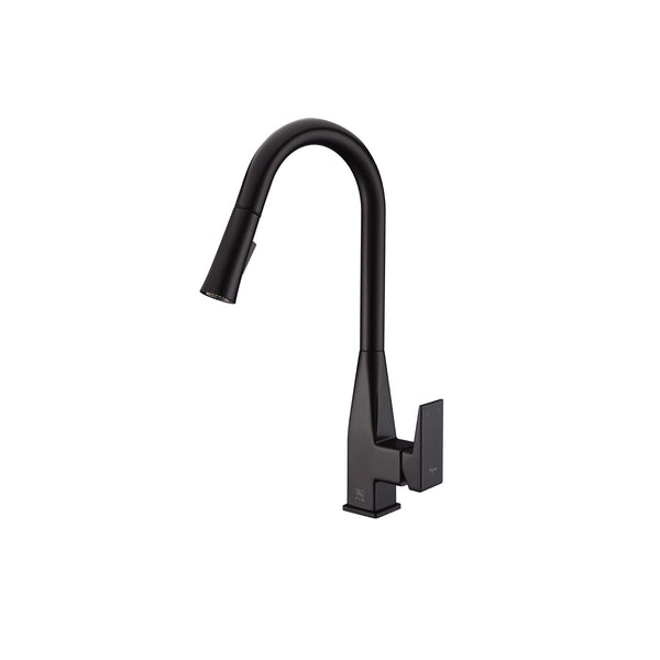 Matte Black Pull Out Kitchen Faucet (Dual Spray)