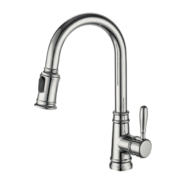 Single handle brushed nickel kitchen faucet