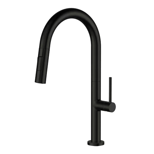 Matte Black Pull Out Kitchen Faucet & Dual Spray