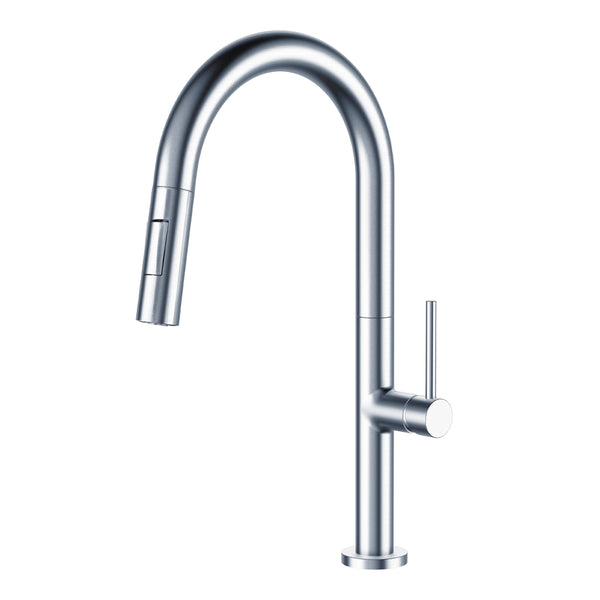 Pull Out Kitchen Faucet Chrome  & Dual Spray