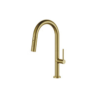 Brushed Brass (Gold) Pull Out Kitchen Faucet & Dual Spray