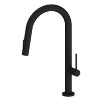 Kitchen Faucet with Retractable-Spout in Matte black finish