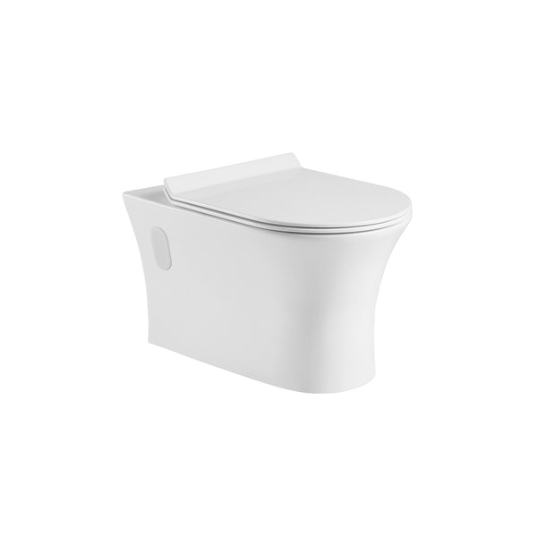 Toilette murale, en forme de D, double chasse