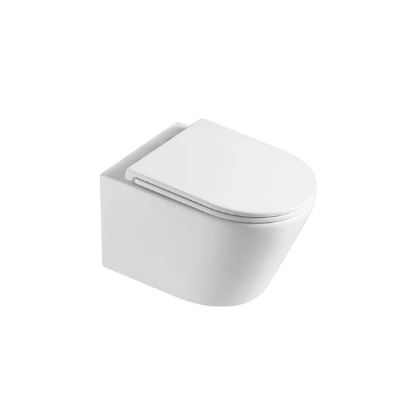 Wall mounted, D-shape, dual-flush toilet, matte white