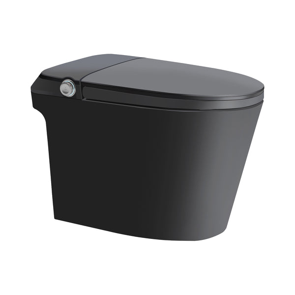 Tiffany-bk Toilette intelligente murale noir mat