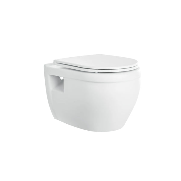 Wall mounted, D-shape, dual-flush, matte white toilet