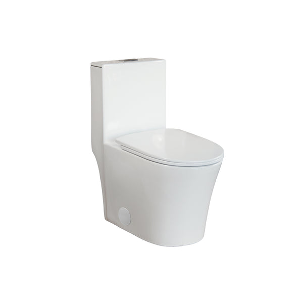 One-piece, elongated, dual-flush toilet