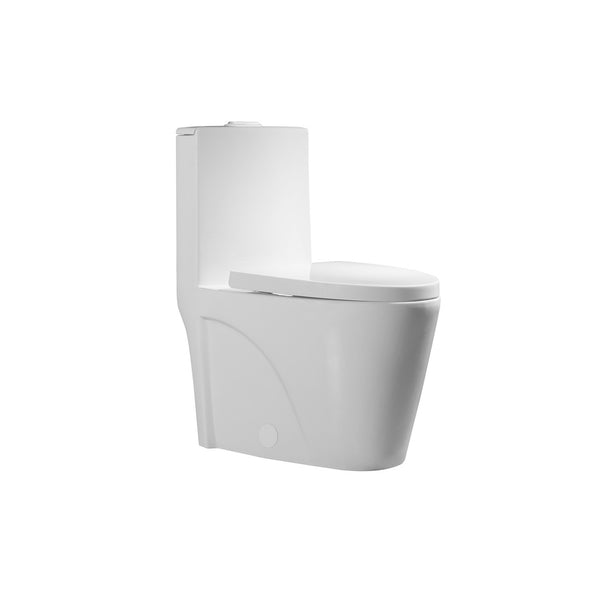 Toilette monobloc allongée, blanc mat, à double chasse