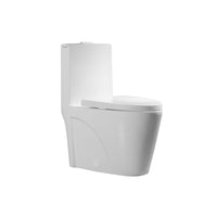 One-piece, dual flush toilet in matte white