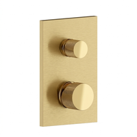 2-Function Trim Kit in Brushed Brass Finish